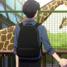 a man with a backpack looking at two giraffes