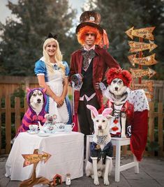 three people dressed up as alice and the wonderland tea party with their dogs at a table