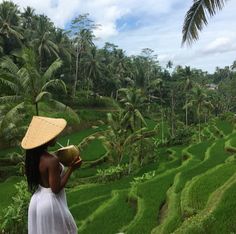 a woman wearing a straw hat and holding a book in front of a rice field