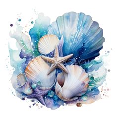 seashells and starfish with watercolor splashes