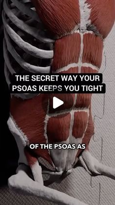 Conor Harris on Instagram: "Most people think of the Psoas as a hip flexor, but it actually has this highly under-appreciated role in imbalanced and asymmetries.

Here’s the fix 💪🏼

If you want to learn more about how to fix issues like this and many other aspects of mobility, posture, and biomechanics, check out my Biomechanics Course - early bird registration closes in less than TWO days (officially closed on Friday)! Link in bio.

Credit to @anatomy.of.motion for the intro clip!
——
#psoas #psoasrelease #hipflexor #hipflexorstretch #hipflexors #hipmobility #hipmobilitywork #backpain #lowbackpain #lowbackpainrelief"