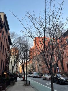 a city street lined with tall buildings and bare trees in the foreground, on a sunny day