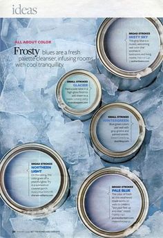 the front cover of frosty blue and white paint colors, with instructions for each color