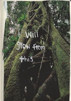 an old tree with moss growing on it's roots and the words i will know from this