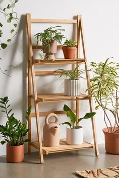 a wooden shelf filled with potted plants next to a wall mounted planter and rug