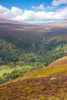 the valley is surrounded by lush green hills and trees, with a stream running through it