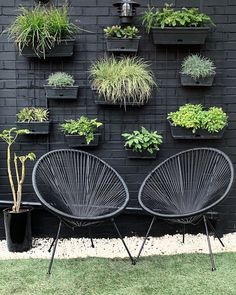 two chairs sitting in front of a black brick wall filled with plants and potted plants