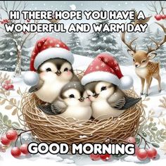 three little birds in a nest with santa hats on and the words, i'm there hope you have a wonderful and warm day good morning