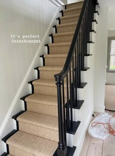 there is a set of stairs with carpet on the bottom and handrails above it