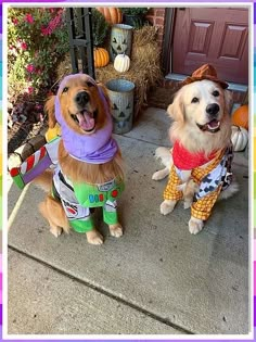 Looking for some pawsome dog costume ideas? Look no further! Our guide has 9 amazing dog costume ideas that will make your furry friend the star of any event. From spooky to adorable, we've got you covered. Plus, we'll share some tips to ensure a howling good time for both you and your pup. Get ready to have a blast with these creative dog costumes! 2 Dog Costume Ideas, Dog Sibling Costumes, Puppies In Halloween Costumes, Halloween Dog Costume Diy Easy, Golden Retriever Costume Ideas, Halloween Dog Costume Golden Retriever, Dog Pair Costumes, Best Golden Retriever Costumes, Halloween Couple With Dog