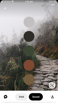 an image of a path with circles on it