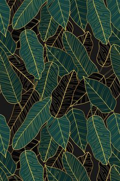 a green and black background with leaves