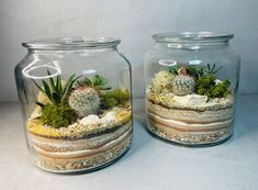 two glass jars filled with plants and rocks