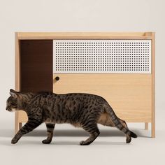 Cat litter box furniture Cat Litter Box Ideas, Ikea Cat, Houseplants Safe For Cats, Box Hacks, Cat Litter Box Enclosure, Modern Cat Furniture, Litter Box Furniture, Litter Box Enclosure, Cat Litter Box Furniture