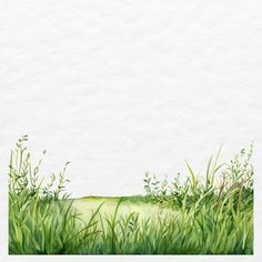 the grass is growing in front of a white wall and watercolor painting style background