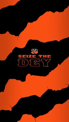 an orange and black tiger stripe background with the words strike the desy