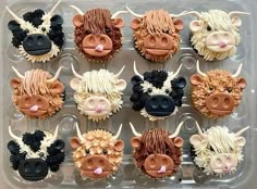 twelve cupcakes decorated to look like cows in the shape of heads with horns