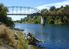 a bridge over a body of water with trees on the bank and cars driving under it