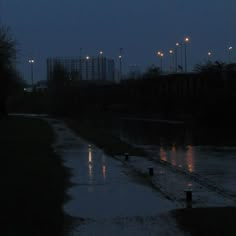 the street lights shine brightly in the night sky over water and grass on either side of an empty road