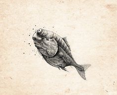 a black and white drawing of a fish