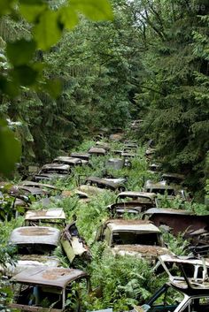 a bunch of cars that are sitting in the grass with captioning about it