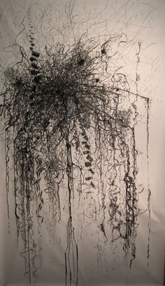 an abstract drawing with vines hanging from it's sides in black and white colors