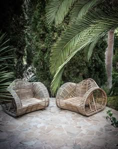 two wicker chairs sitting on top of a stone floor next to a palm tree