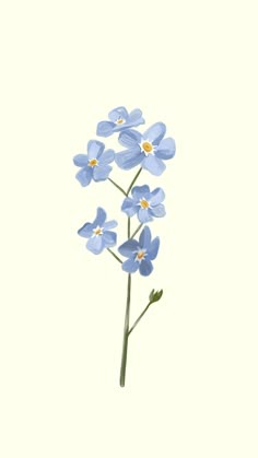 some blue flowers on a white background