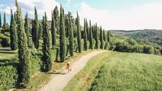 two people walking down a dirt road next to tall, green trees on the side of a hill