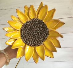 a yellow sunflower is being held by a person's hand on a white wooden surface