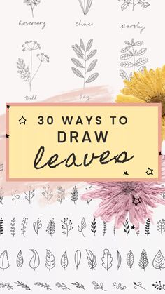 the title for 30 ways to draw leaves on a white background with pink and yellow flowers