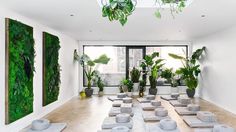 an indoor yoga studio with many mats on the floor and plants in potted planters