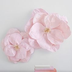 two pink flowers sitting on top of a white wall next to books and a vase