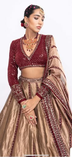 Tissue Chaniya Choli Design, Tissue Lehenga, Lengha Blouse, Telugu Culture, Tissue Dupatta, Vani Vats, Hand Embroidered Blouse, Full Sleeve Blouse