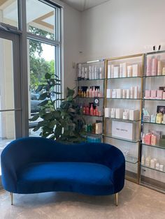 a large blue couch sitting in front of a window next to a shelf filled with bottles