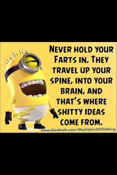 This explains so much!!!!!!! :) Fart Quotes, Funny Minion Pictures, Funny Minion Memes, Minion Pictures, Minion Jokes, Minions Love, Funny Minion Quotes, Minion Quotes, Minions Quotes