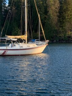 a white sailboat floating on top of a lake next to tall pine covered trees