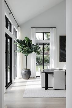 a living room filled with furniture and a large potted plant on top of a table