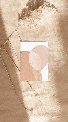 a dried plant sitting on top of a table next to a piece of paper with circles