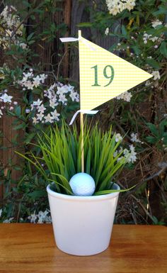 a potted plant with a golf ball in it and a flag on the top