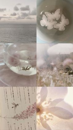 a collage of photos with flowers and water in them, including an open book