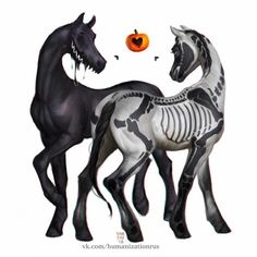 two black horses standing next to each other in front of an orange pumpkin on a white background