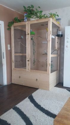 a wooden cabinet with plants in it on top of a rug next to a refrigerator