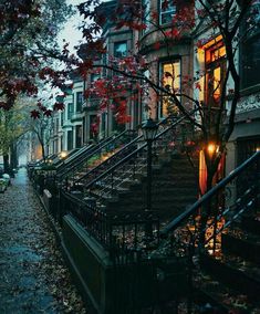 an alleyway with stairs and trees in the fall