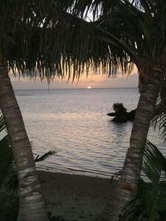 the sun is setting over the ocean with palm trees in foreground and an island in the distance