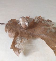 A carefully dried Oak leaf pressed under glass, and set into sterling silver statement ring. A symbol of strength and wisdom in many cultures, the Oak tree has featured prominently in mysticism and medicine.  It's bark is a strong astringent and antiseptic, and can be used instead of Quinine for relief of fevers and high temperatures.  Crushed leaves can be laid on stings or cuts as a poultice that removes inflammation.  Many old remedies perform a 'transference of pain' onto Oak trees, which were considered strong and able to bear the discomfort before they dissipated the pain into the ground through their roots, or into the sky through their branches. This leaf was gathered in the Sierra Nevada mountain foothills, and has been naturally chewed by insects to create an intricate and delica Old Remedies, Plant Magic, Pressed Leaves, Healing Plants, Symbols Of Strength, Oak Trees, Astringent, Statement Ring Silver, Oak Leaf