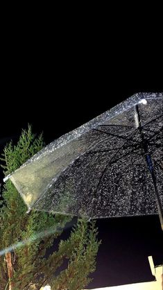 an open umbrella sitting on top of a wooden table next to a tree at night