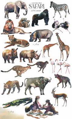 an image of different types of wild animals