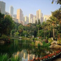 a pond surrounded by trees and flowers with tall buildings in the background