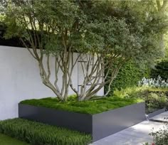 a modern garden with grass and trees